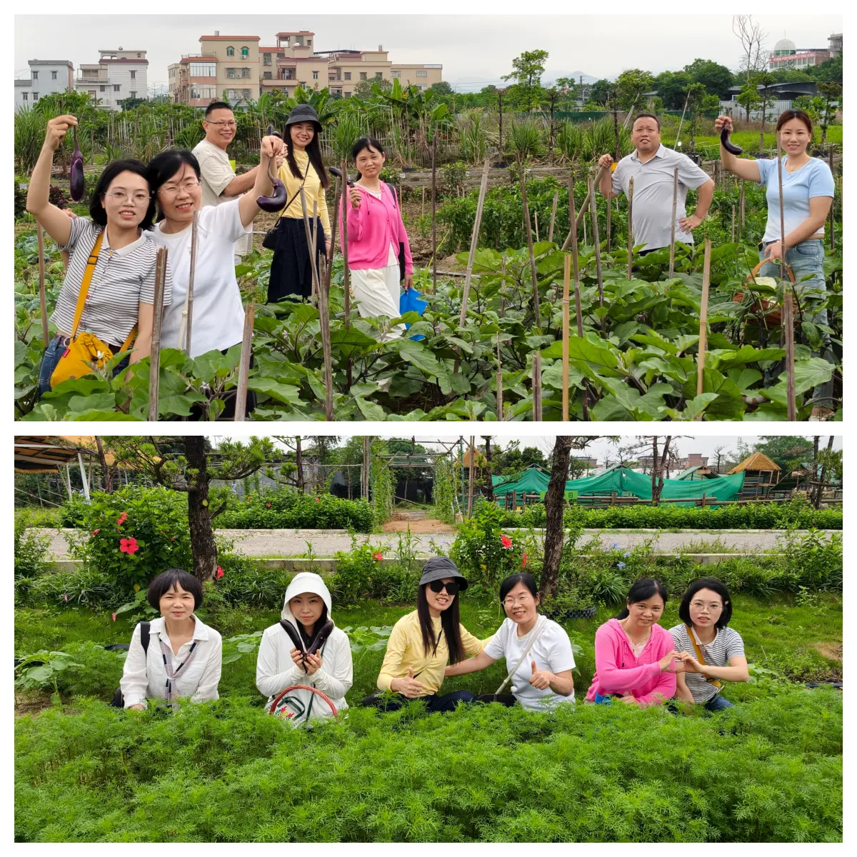 凝心聚力，共创“食”光——广州华佑医院开展中层管理人员主题团建活动
